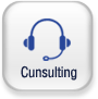 Cunsulting